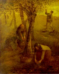 Raccolta di mele